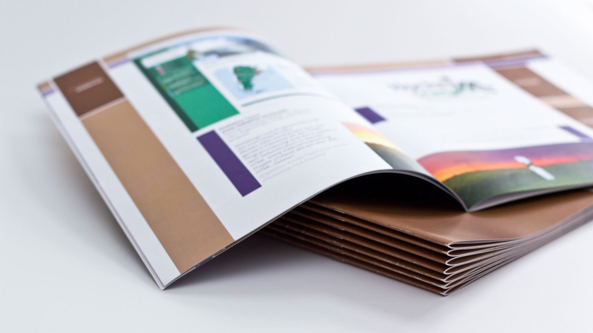 Brochure Design