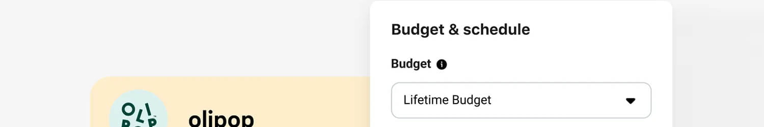 Budget Optimization