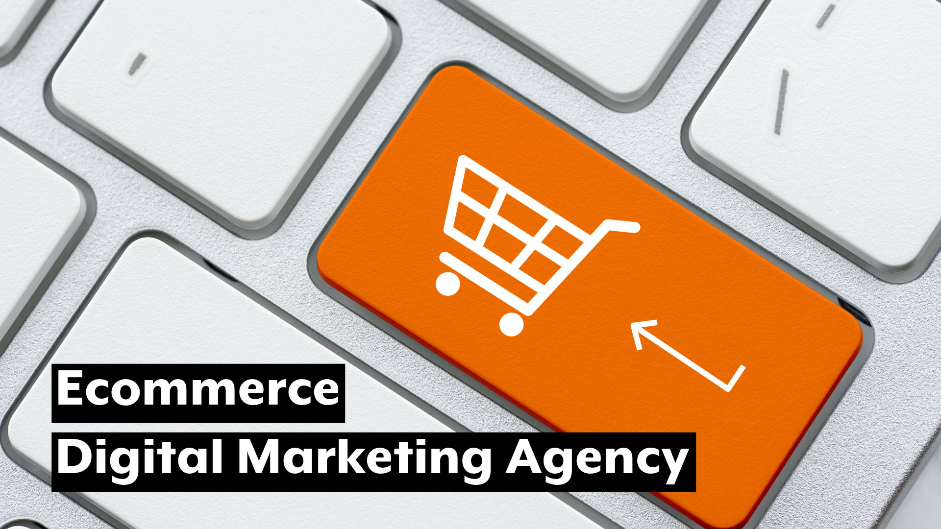 Ecommerce Digital Marketing Agency